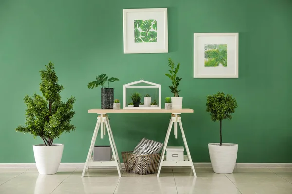 Table Avec Différentes Plantes Dans Des Pots Près Mur Couleur — Photo