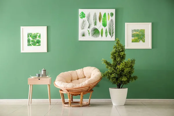 Modern Interior Room Stylish Armchair Table Houseplant Color Wall — Stock Photo, Image