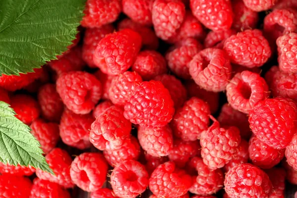 Ripe Juicy Raspberry Closeup — Stock Photo, Image