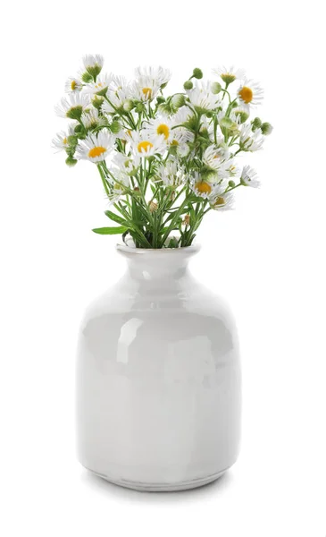 Βάζο Λουλούδια Χαμομήλι Όμορφο Άσπρο Φόντο — Φωτογραφία Αρχείου