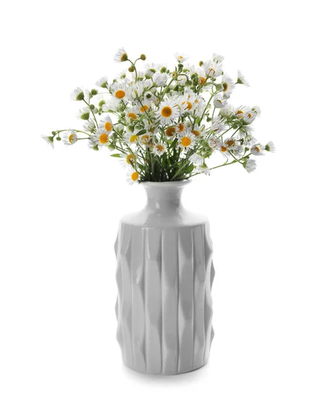 Vase Beautiful Chamomile Flowers White Background — Stock Photo, Image