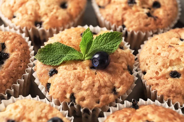 Tasty Blueberry Muffins Closeup — Stock Photo, Image