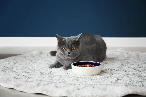 Cute Cat Lying Bowl Food Floor Home — Stock Photo, Image