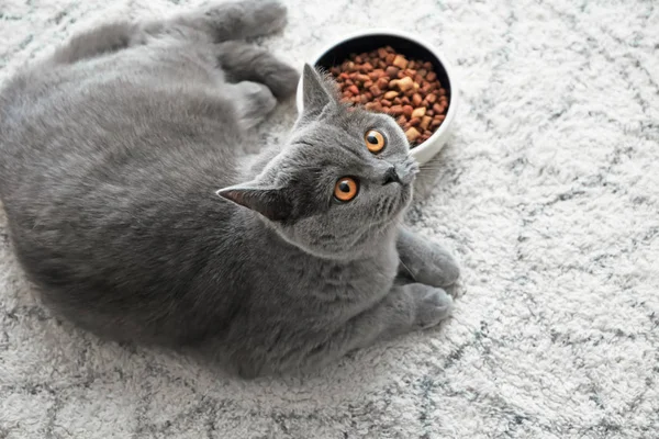 Roztomilý Kočka Ležící Poblíž Misku Jídlem Podlahu Doma — Stock fotografie