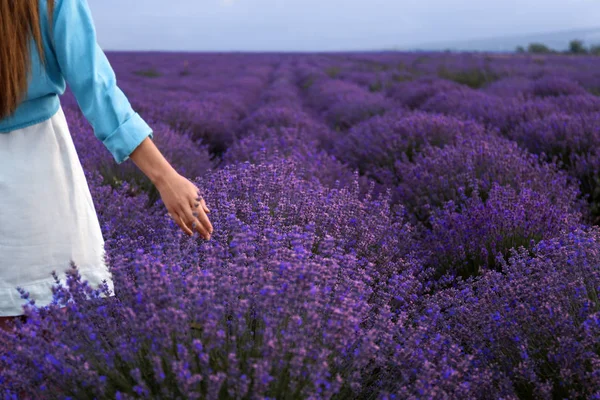 Beautiful Young Woman Lavender Field Summer Day — Stock Photo, Image