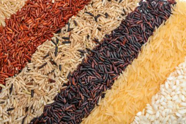 Arka plan olarak pirinç farklı türleri