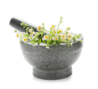 Beyaz arkaplanda havan çiçekleri