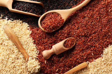 Kaşık toz ve kaşık pirinç farklı tipleri ile