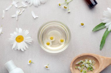 Papatya esans ve açık renkli taze çiçekler ile kompozisyon