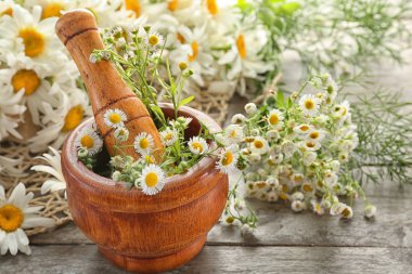 Harç ahşap masa üzerinde papatya çiçeği