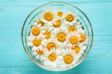 Renk ahşap arka plan, üstten görünüm üzerinde güzel papatya çiçeği ile kase