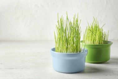 Beyaz ahşap masa filizlenmiş Buğday çim ile kase