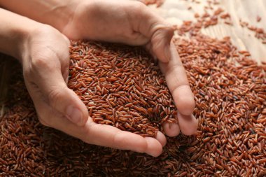 Kırmızı Pirinç tutan eller closeup görünümü