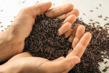 Yabani pirinç tutan eller closeup görünümü