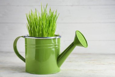 Filizlenmiş Buğday çim üzerinde ahşap masa ile sulama olabilir