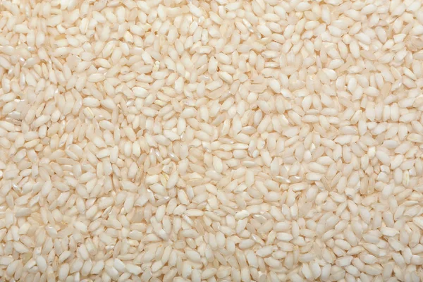 Short grain rice as background