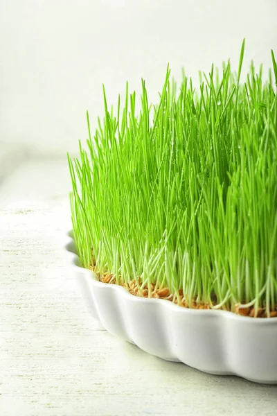 Dish Sprouted Wheat Grass White Wooden Table Closeup — Stock Photo, Image