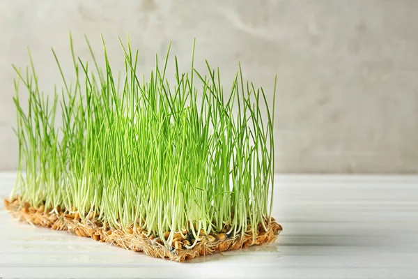 Sprouted Wheat Grass Table — Stock Photo, Image