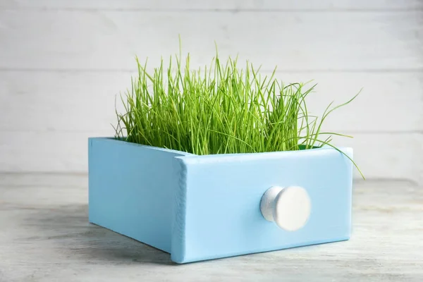 Drawer Sprouted Wheat Grass Wooden Table — Stock Photo, Image