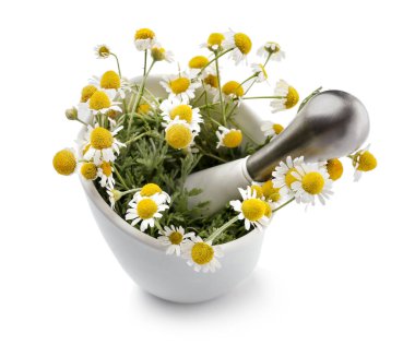 Beyaz arka plan üzerinde papatya çiçeği ile harç