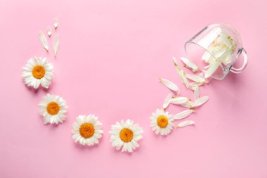 Güzel papatya çiçekler ve renk arka plan cam bardakta