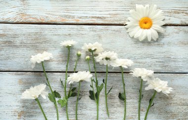 Ahşap arka plan güzel papatya çiçekleri