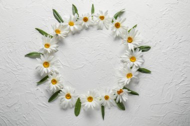 Güzel papatya çiçek beyaz arka plan üzerinde çerçeve yaptı