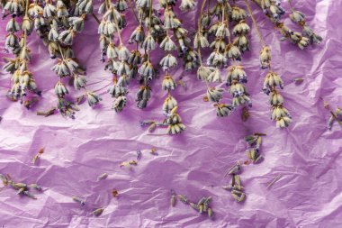 Güzel lavanta çiçekleri buruşuk Kağıt, üstten görünüm