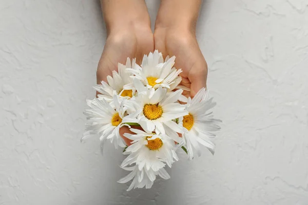 Kvinna Med Vackra Kamomill Blommor Vit Bakgrund — Stockfoto