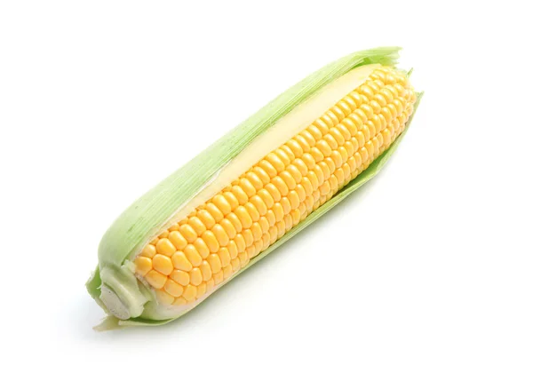 Fresh Corn Cob White Background — Stock Photo, Image