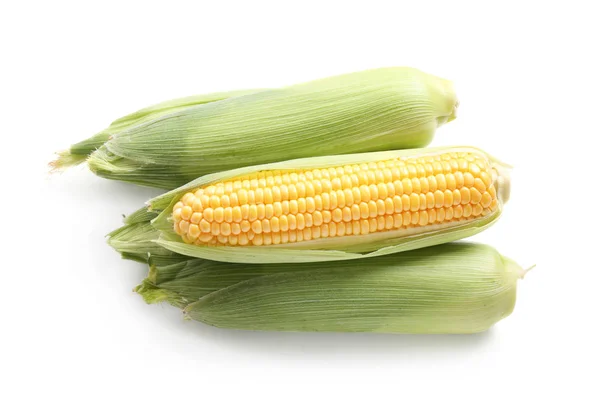 白色背景的新鲜玉米芯 — 图库照片