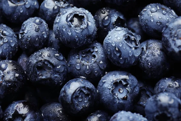 Ripe Blueberries Closeup View — Stock Photo, Image