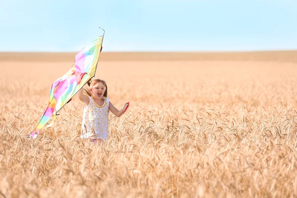 Schattig Klein Meisje Speelt Met Kite Tarweveld Zomerdag — Stockfoto