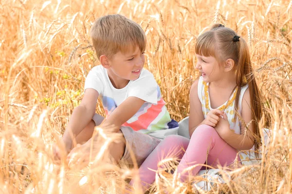 Niedliche Kleine Kinder Weizenfeld Einem Sommertag — Stockfoto