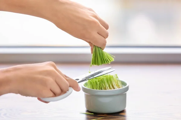 妇女修剪窗台上的小麦草 — 图库照片