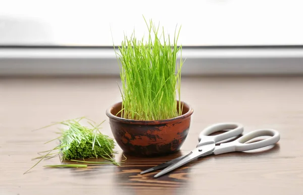 Kom Met Verse Tarwe Gras Schaar Vensterbank — Stockfoto