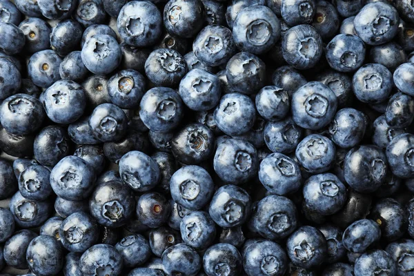 Ripe Blueberries Background — Stock Photo, Image