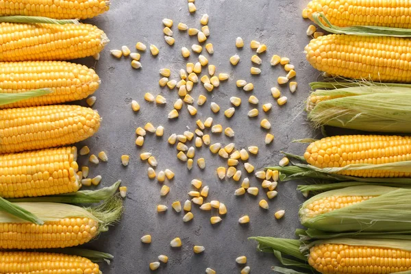 Composition Fresh Corncobs Light Table — Stock Photo, Image