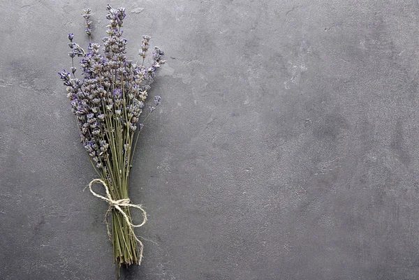 Bunch Beautiful Blooming Lavender Flowers Grey Background — Stock Photo, Image