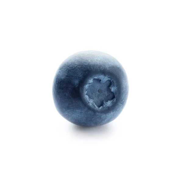 Érett Blueberry Fehér Háttér — Stock Fotó