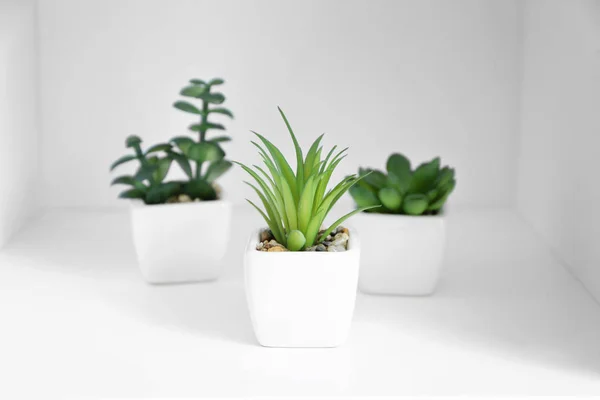 Plantas Diferentes Vasos Prateleira Branca — Fotografia de Stock