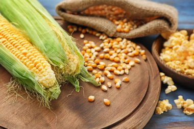 Mısır koçanı ve çekirdekleri gemide