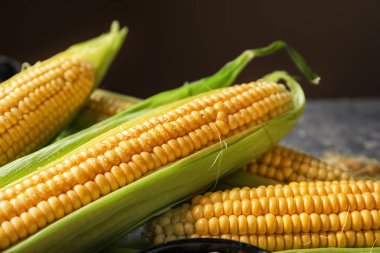 Masada taze mısır koçanları, yakın plan.