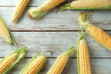 Mısır koçanı ahşap arka plan üzerinde çerçeve yapılmış