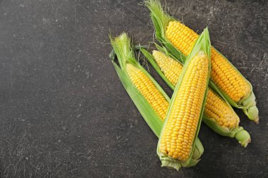 Koyu arka plan üzerinde taze mısır koçanı