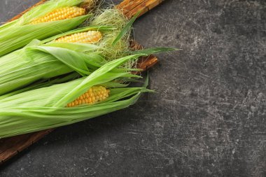 Koyu arka plan üzerinde taze mısır koçanı
