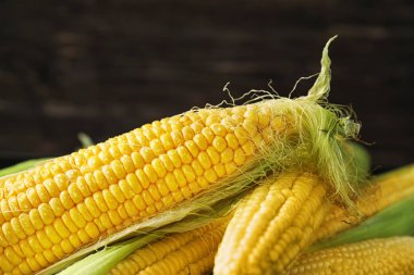 Olgun Mısır koçanı koyu arka plan üzerinde