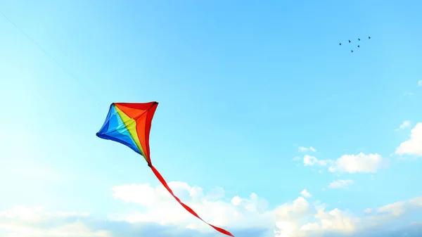 Cometa Colorida Volando Cielo Azul —  Fotos de Stock