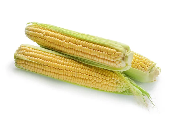 Fresh Corn Cobs White Background — Stock Photo, Image