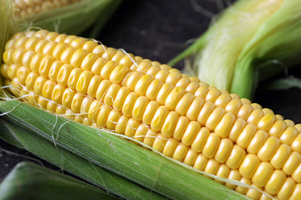 Fresh corn cob, closeup